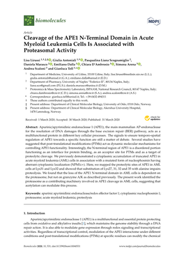 Cleavage of the APE1 N-Terminal Domain in Acute Myeloid Leukemia Cells Is Associated with Proteasomal Activity