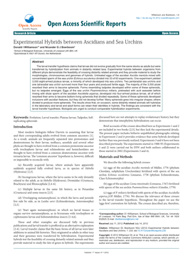 Experimental Hybrids Between Ascidians and Sea Urchins