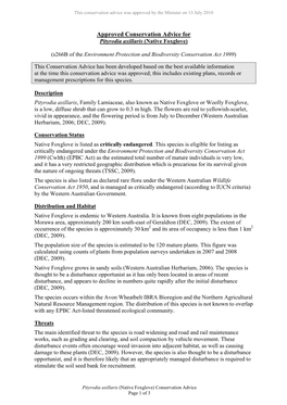 Approved Conservation Advice for Pityrodia Axillaris (Native Foxglove)