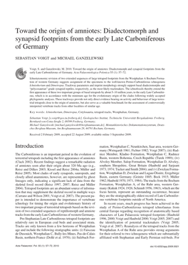 Toward the Origin of Amniotes: Diadectomorph and Synapsid Footprints from the Early Late Carboniferous of Germany