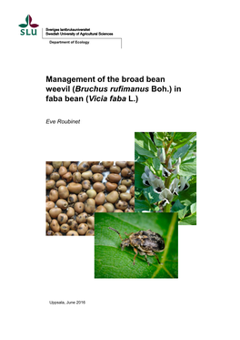 Management of the Broad Bean Weevil (Bruchus Rufimanus Boh.) in Faba Bean (Vicia Faba L.)