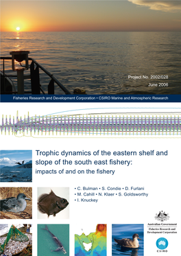 Trophodynamics of Eastern Shelf and Slope SEF Fishery