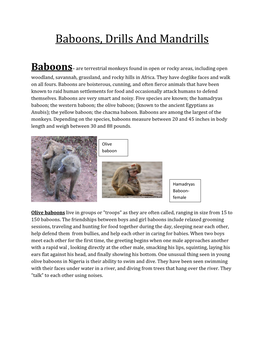 Baboons, Drills and Mandrills