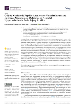 C-Type Natriuretic Peptide Ameliorates Vascular Injury and Improves Neurological Outcomes in Neonatal Hypoxic-Ischemic Brain Injury in Mice