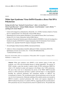 White Spot Syndrome Virus Orf514 Encodes a Bona Fide DNA Polymerase