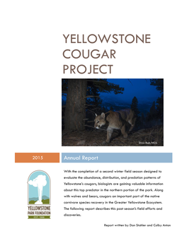 Yellowstone Cougar Project