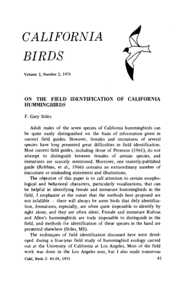 On the Field Identification of California Hummingbirds