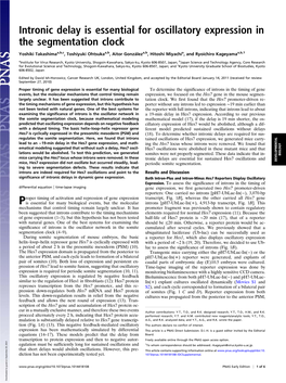 Intronic Delay Is Essential for Oscillatory Expression in the Segmentation Clock