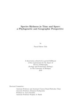 Species Richness in Time and Space: a Phylogenetic and Geographic Perspective