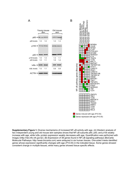 Supp Material.Pdf