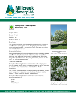 Millcreek Nursery Ltd Spring Snow Flowering Crab