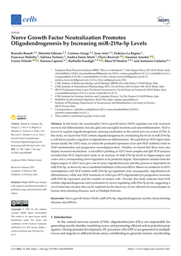 Nerve Growth Factor Neutralization Promotes Oligodendrogenesis by Increasing Mir-219A-5P Levels