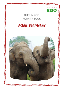 Dublin Zoo Activity Book Elephant