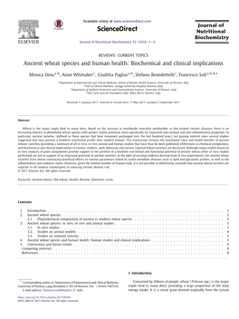 Ancient Wheat Species and Human Health: Biochemical and Clinical Implications