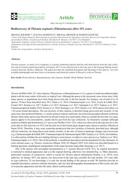 Rediscovery of Thismia Neptunis (Thismiaceae) After 151 Years