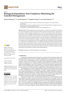 Iron Complexes Mimicking the Catechol Dioxygenases