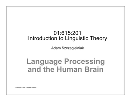 Language Processing and the Human Brain