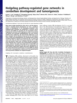 Hedgehog Pathway-Regulated Gene Networks in Cerebellum Development and Tumorigenesis