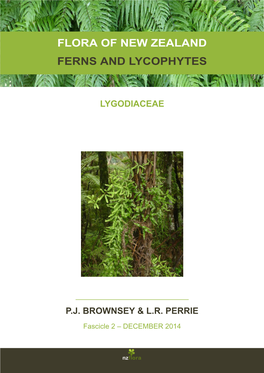 Flora of New Zealand Ferns and Lycophytes