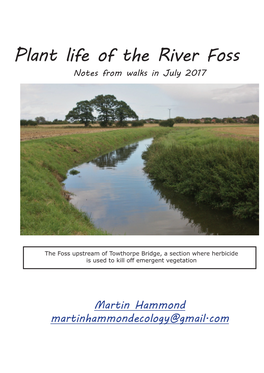 Plant Life of the River Foss Notes from Walks in July 2017