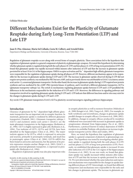 Different Mechanisms Exist for the Plasticity of Glutamate Reuptake During Early Long-Term Potentiation (LTP) and Late LTP