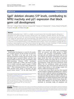 Sgpl1 Deletion Elevates S1P Levels, Contributing to NPR2 Inactivity And