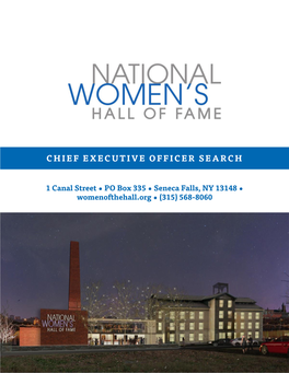 Chief Executive Officer Search