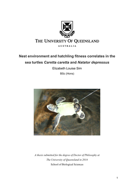 Nest Environment and Hatchling Fitness Correlates in the Sea Turtles Caretta Caretta and Natator Depressus Elizabeth Louise Sim Bsc (Hons)