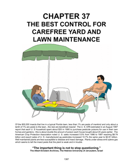 37 Lawn Maintenance
