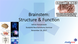 Brainstem: Structure & Func On