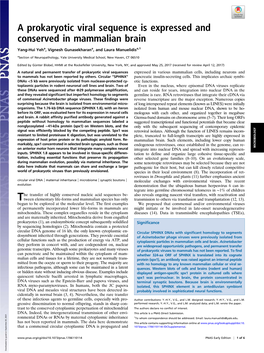 A Prokaryotic Viral Sequence Is Expressed and Conserved in Mammalian Brain