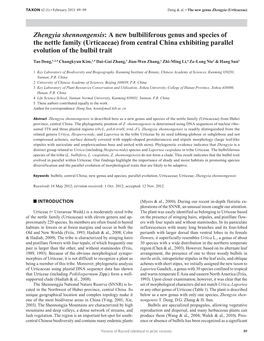 Zhengyia Shennongensis: a New Bulbiliferous Genus and Species of the Nettle Family (Urticaceae) from Central China Exhibiting Parallel Evolution of the Bulbil Trait