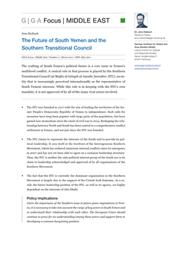 The Future of South Yemen and the Southern Transitional Council