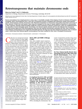 Retrotransposons That Maintain Chromosome Ends