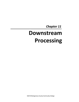 Downstream Processing