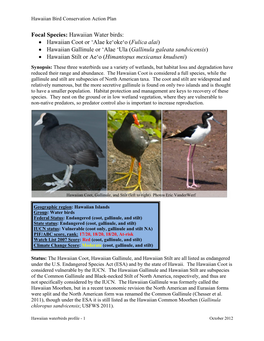 Focal Species: Hawaiian Water Birds: • Hawaiian Coot Or 'Alae