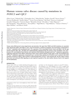 Human Venous Valve Disease Caused by Mutations in FOXC2 and GJC2