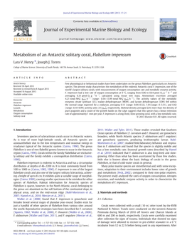 Metabolism of an Antarctic Solitary Coral, Flabellum Impensum