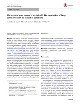 The Scent of Your Enemy Is My Friend? the Acquisition of Large Carnivore Scent by a Smaller Carnivore