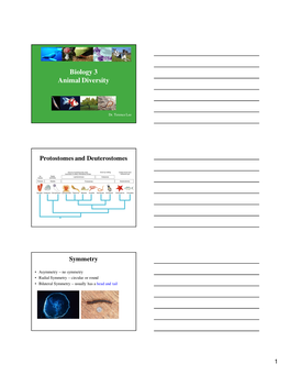 Biology 3 Animal Diversity