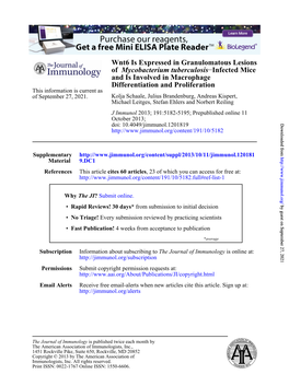 Mycobacterium Tuberculosis of Wnt6 Is Expresse