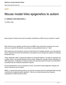 Mouse Model Links Epigenetics to Autism