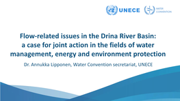 Flow Regulation in Drina Basin