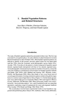 Banded Vegetation Patterns and Related Structures