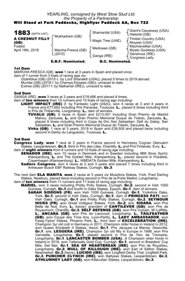 YEARLING, Consigned by West Stow Stud Ltd. the Property of a Partnership Will Stand at Park Paddocks, Highflyer Paddock AA, Box 722