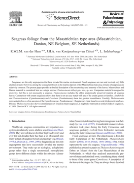 Seagrass Foliage from the Maastrichtian Type Area (Maastrichtian, Danian, NE Belgium, SE Netherlands) ⁎ R.W.J.M
