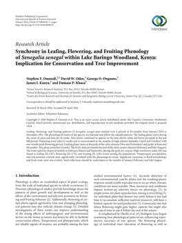 Synchrony in Leafing, Flowering, and Fruiting Phenology of Senegalia Senegal Within Lake Baringo Woodland, Kenya: Implication for Conservation and Tree Improvement