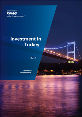 Investment in Turkey 2013