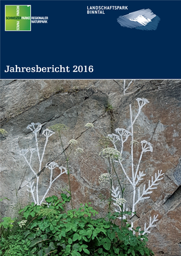 Jahresbericht 2016