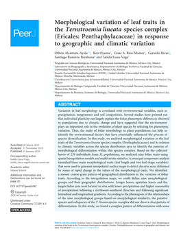 Morphological Variation of Leaf Traits in the Ternstroemia Lineata Species Complex (Ericales: Penthaphylacaceae) in Response to Geographic and Climatic Variation